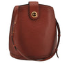 Authentic Louis Vuitton Epi Cluny Shoulder Bag Purse Brown M52253 LV 7877J