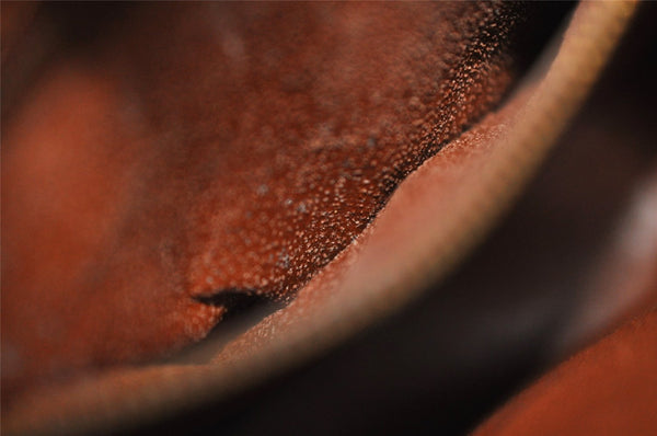 Authentic Louis Vuitton Monogram Saint Cloud MM M51243 Shoulder Cross Bag 7891I