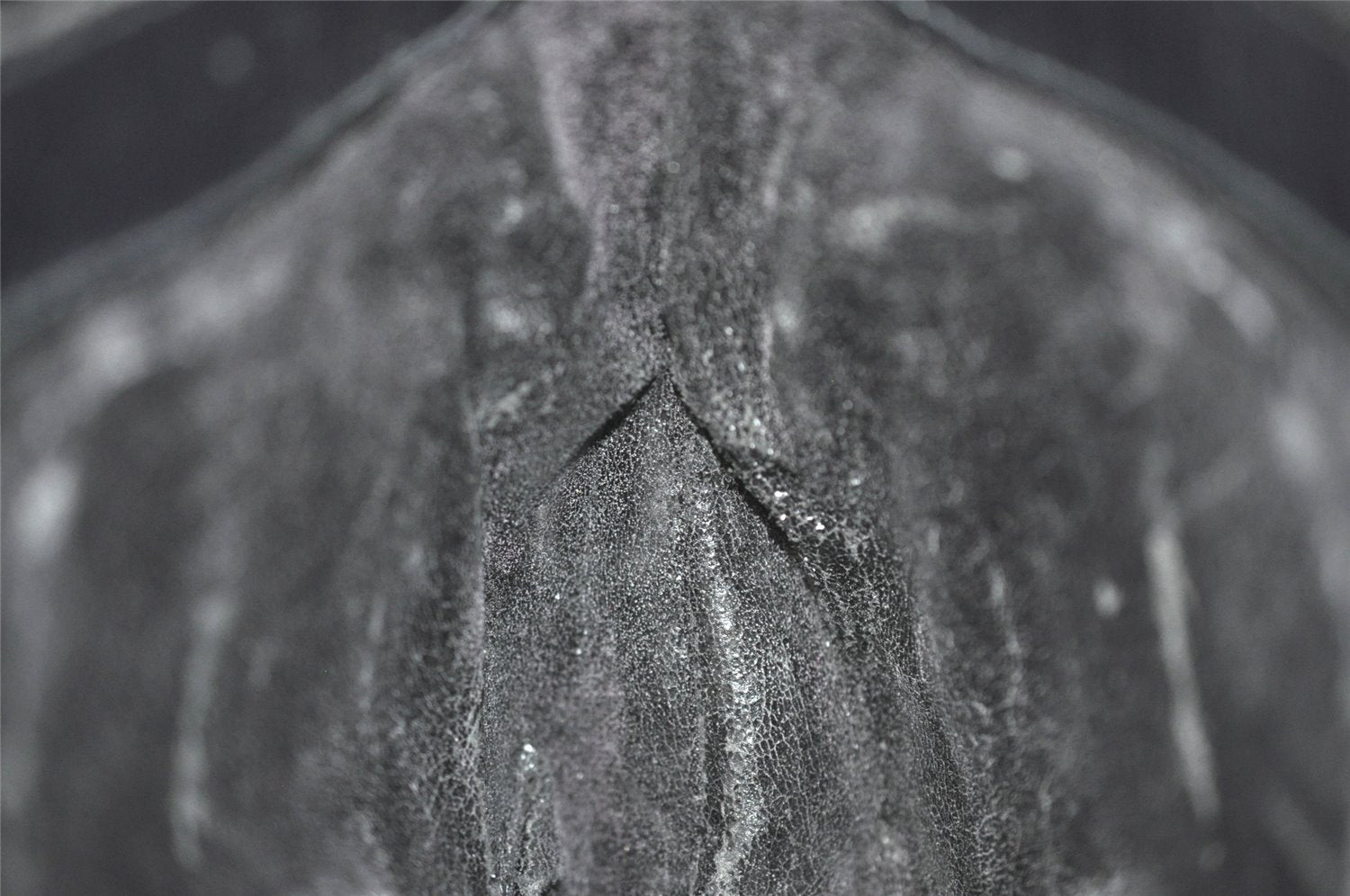 Authentic GUCCI Shoulder Cross Body Bag GG Canvas Leather Black Junk 8250J