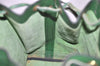 Authentic Louis Vuitton Epi Noe Shoulder Drawstring Bag Green Old Model LV 8699I