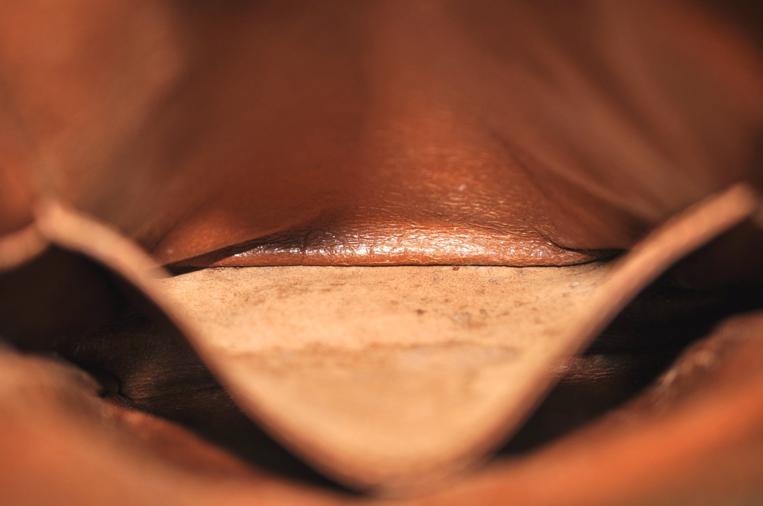 Authentic Louis Vuitton Monogram Mini Amazone Shoulder Cross Bag Old Model K1597