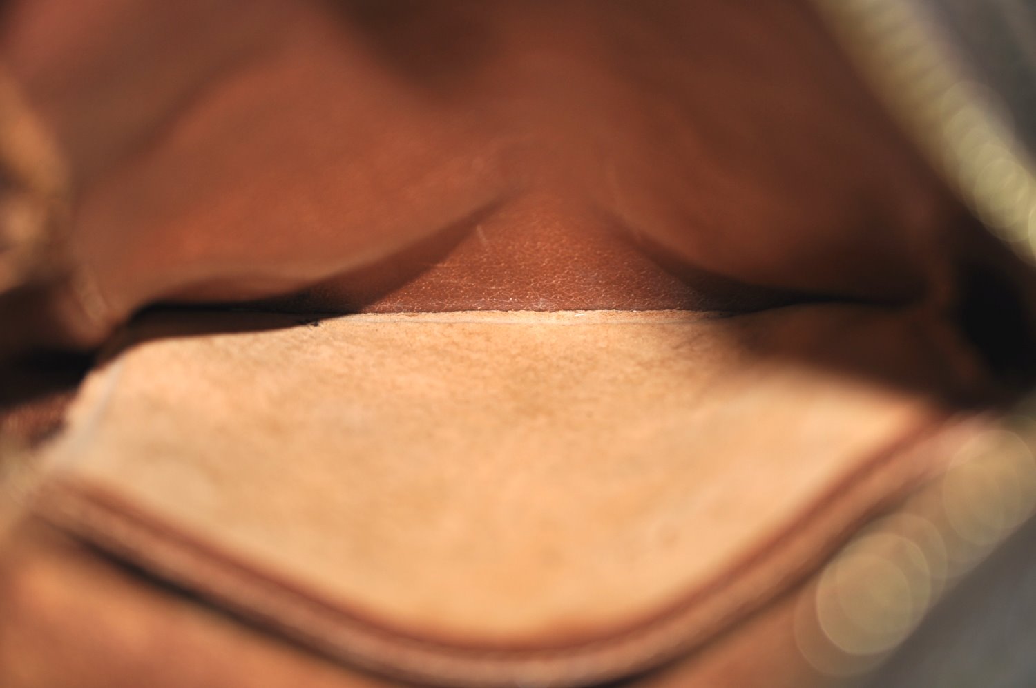 Authentic Louis Vuitton Monogram Mini Amazone Shoulder Cross Bag Old Model K5254