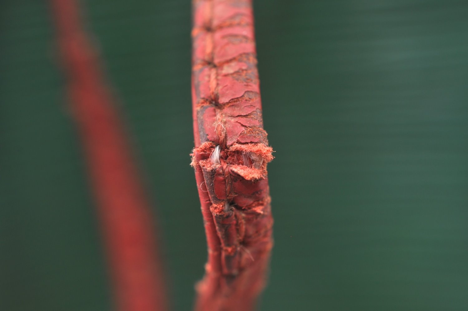 Authentic Louis Vuitton Epi Petit Noe Bi-color Green x Red Drawstring Bag K6043