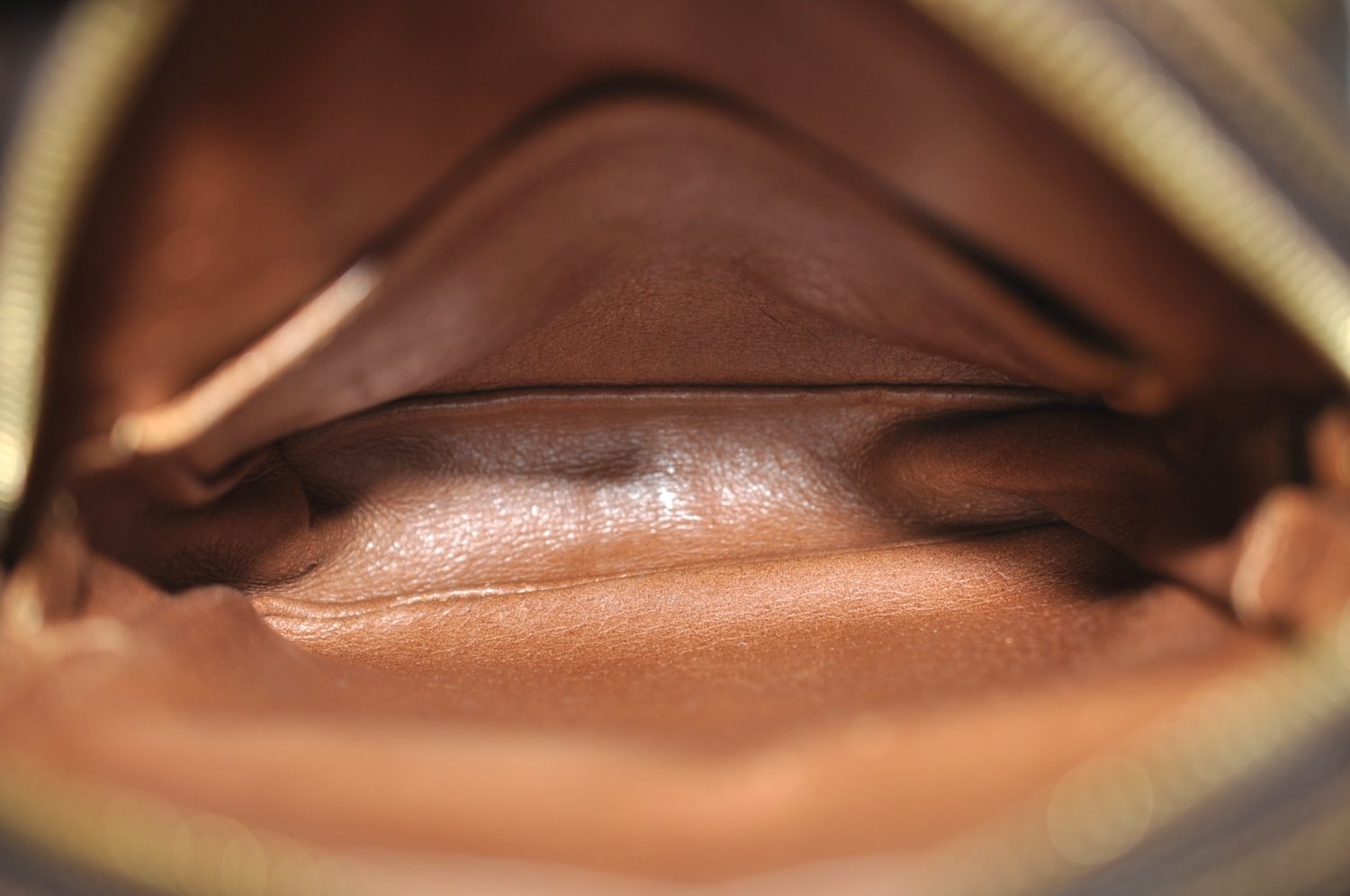 Auth Louis Vuitton Monogram Mini Amazone Shoulder Cross Bag Old Model Junk K7538