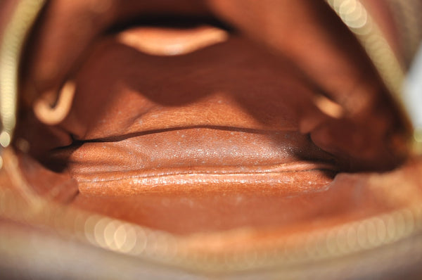 Authentic Louis Vuitton Monogram Amazone Shoulder Cross Body Bag Old Model K8235