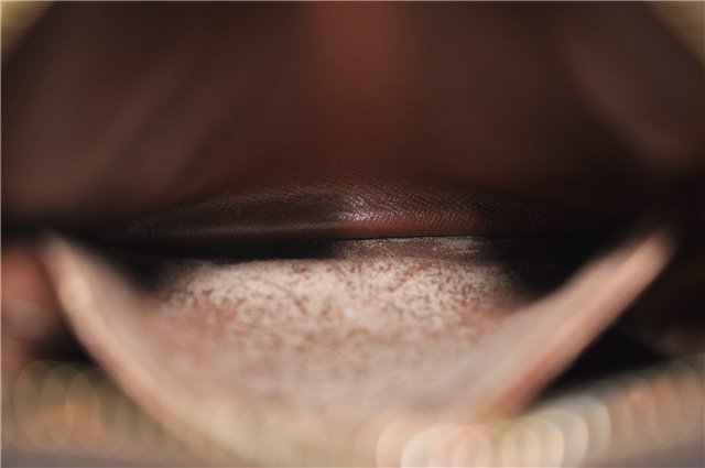 Authentic Louis Vuitton Monogram Amazone Shoulder Cross Body Bag M45236 LV 0218E