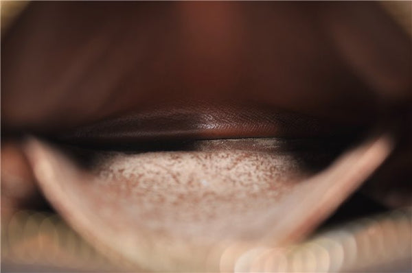 Authentic Louis Vuitton Monogram Amazone Shoulder Cross Body Bag M45236 LV 0218E