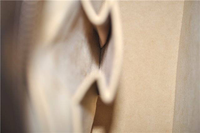 Authentic Louis Vuitton Monogram Luco Shoulder Tote Bag M51155 LV 1170G