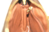 Authentic Louis Vuitton Monogram Jeune Fille MM M51226 Shoulder Cross Bag 1808D