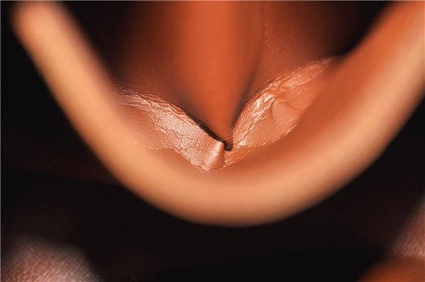 Authentic Louis Vuitton Monogram Blois Shoulder Cross Body Bag M51221 LV 2436F