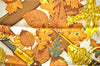Authentic HERMES Carre 90 Scarf "AU PLUS DRU" Silk Orange 2785D