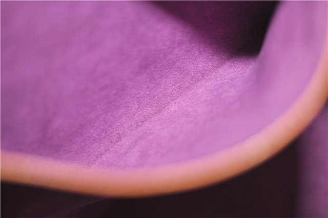 Auth Louis Vuitton Epi Saint Jacques Poignet Long Shoulder Bag M52339 LV 2813E