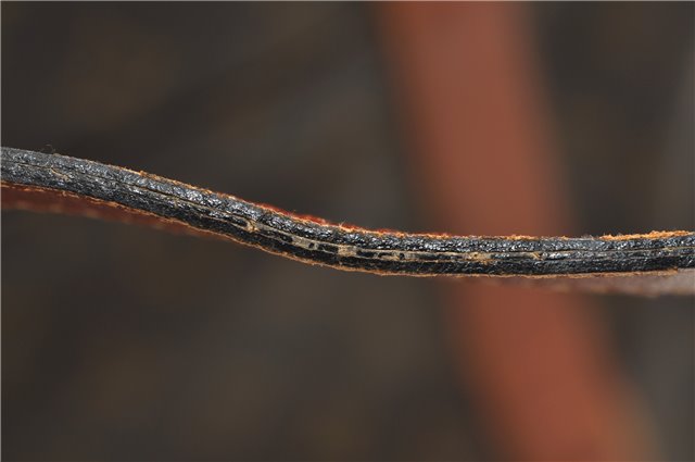 Auth Louis Vuitton Monogram Sac Weekend GM Vintage Tote Hand Bag M42420 LV 2897E