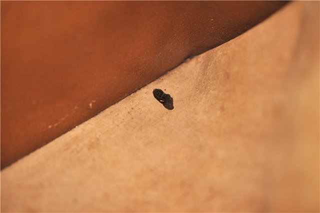 Auth Louis Vuitton Monogram Sac Weekend GM Vintage Tote Hand Bag M42420 LV 2897E