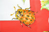 Authentic HERMES Carre 90 Scarf "La Vie Au Grand Air" Silk Red 2987D