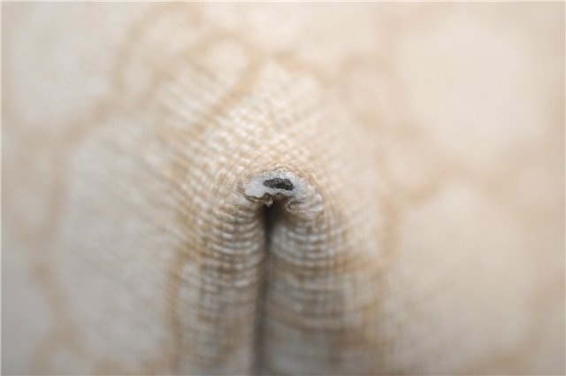 Authentic GUCCI Vintage Shoulder Tote Bag GG PVC Leather 211138 Ivory 3172F