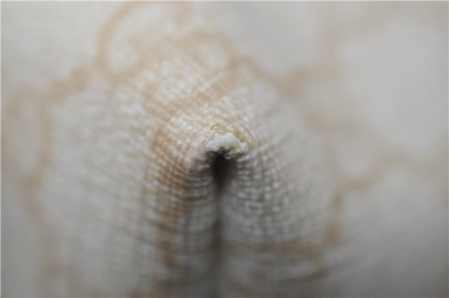 Authentic GUCCI Vintage Shoulder Tote Bag GG PVC Leather 211138 Ivory 3172F