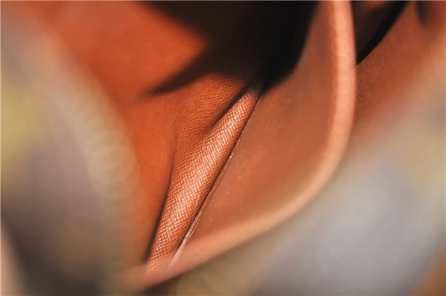 Authentic Louis Vuitton Monogram Amazone Shoulder Cross Body Bag M45236 LV 4066D