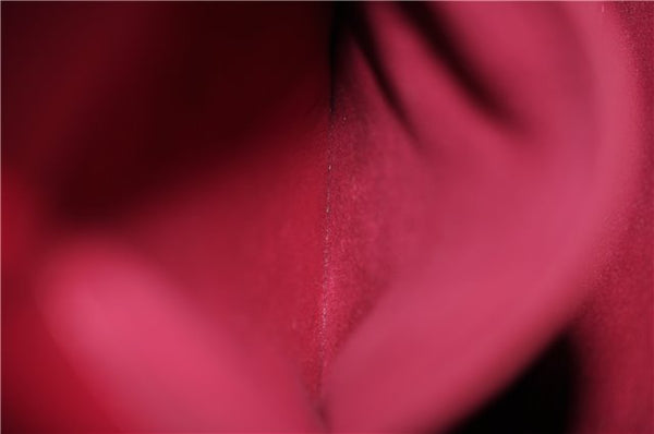 Authentic Louis Vuitton Monogram Phoenix MM M41541 2Way Shoulder Hand Bag 4173F