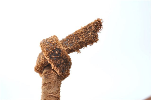 Authentic Louis Vuitton Monogram Noe Shoulder Bag M42224 LV 4966D