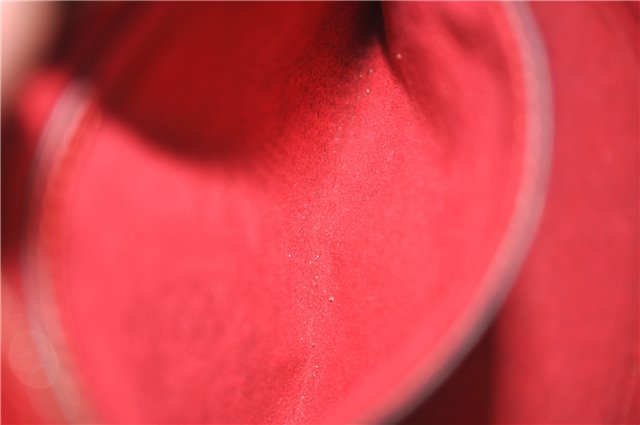 Auth Louis Vuitton Epi Saint Jacques Poignier Long Shoulder Bag M52337 Red 5413D