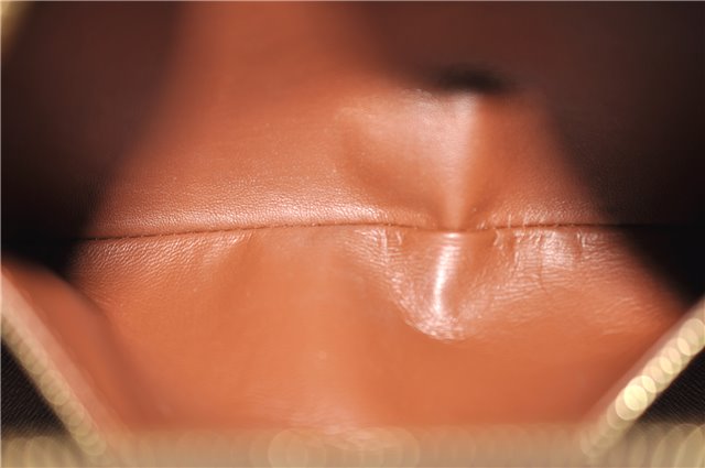 Authentic LOUIS VUITTON Monogram Nile Shoulder Cross Body Bag M45244 LV 6315C