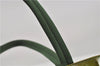 Authentic PRADA Enamel Nylon Shoulder Hand Bag Purse Green 6426D