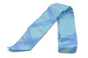 Authentic HERMES Twilly Scarf Silk "Bolduc" Light Blue Box 7617C