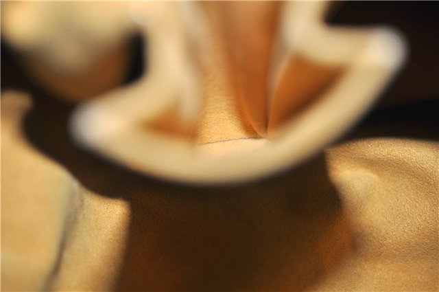 Auth Louis Vuitton Monogram Denim Neo Cabby Shoulder Hand Bag M95352 Black 8008D