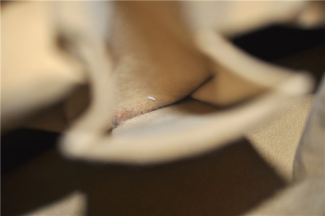 Authentic LOUIS VUITTON Monogram Looping GM Shoulder Bag Purse M51145 LV 8284C