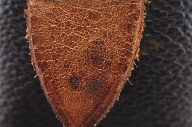 Authentic LOUIS VUITTON Monogram Compiegne 23 Clutch Hand Bag M51847 LV 8343C