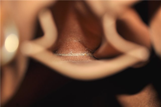 Authentic LOUIS VUITTON Monogram Batignolles Horizontal Tote Bag M51154 LV 8362C