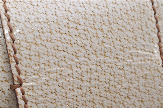 Authentic GUCCI Shoulder Hand Bag Purse GG Canvas Leather 124286 Beige 8592F