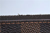 Authentic Louis Vuitton Damier Neverfull Pouch Purse Clutch Bag LV 9404E