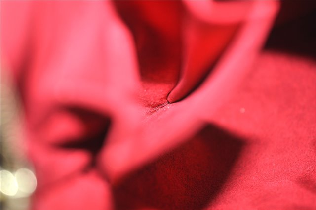 Authentic Louis Vuitton Monogram Coussin GM Shoulder Bag M51141 LV 9508E