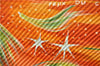 Authentic HERMES Pleats Scarf "FEUX DU CIEL" Light Green Orange Box 9561D