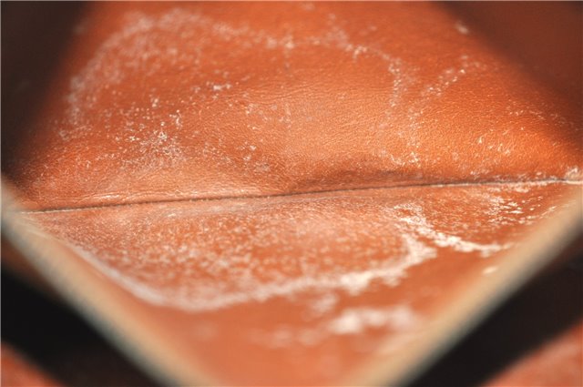 Auth Louis Vuitton Monogram Enghien Shoulder Cross Body Bag Old Model LV H6715