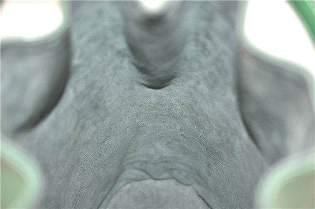 Authentic Louis Vuitton Epi Randonnee PM Shoulder Bag Green M52354 LV J1721