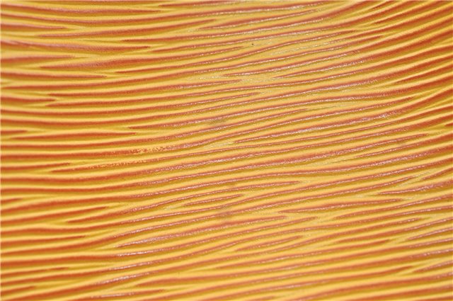 Authentic Louis Vuitton Epi Petit Noe Shoulder Bag Yellow M44109 LV J1813