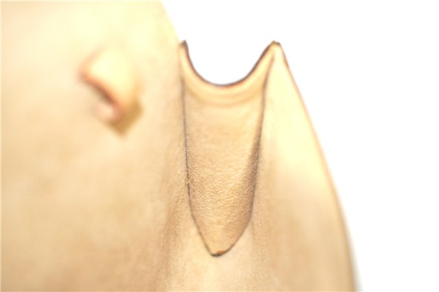 Auth Louis Vuitton Monogram Pochette Twin PM Shoulder Bag M51854 LV Box J5211