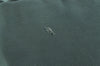 Authentic PRADA Nylon Tessuto Pouch Purse Green K4534