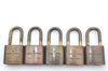 Authentic Louis Vuitton Padlock Gold 10Set LV K6098